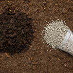 Nawożenie mineralne vs organiczne – cała prawda