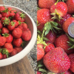 Jak założyć poletko truskawek krok po kroku – praktyczny poradnik Malowanych Rabat